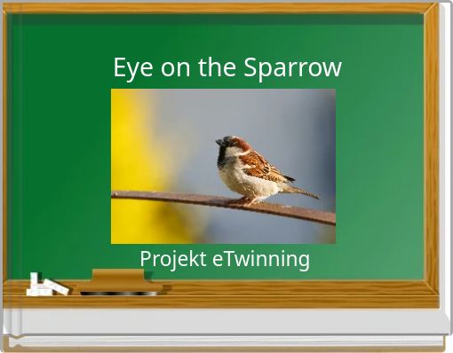Eye on the Sparrow