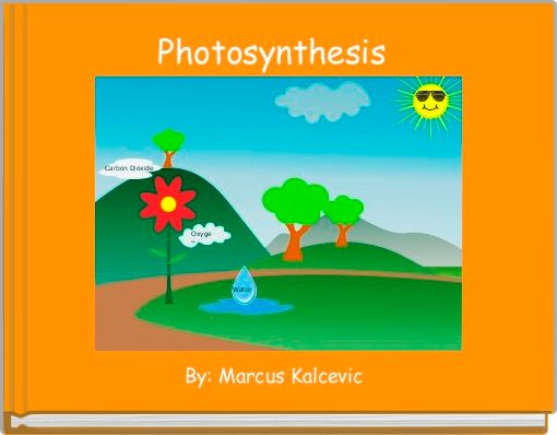 Photosynthesis 