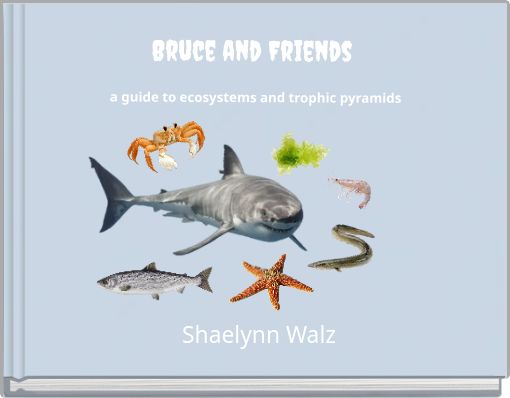 Bruce and Friends a guide to ecosystems and trophic pyramids