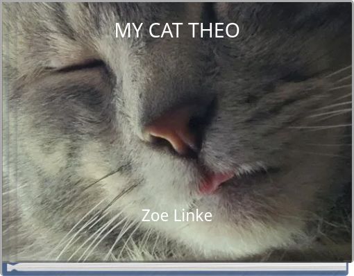 MY CAT THEO