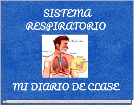 SISTEMA RESPIRATORIO