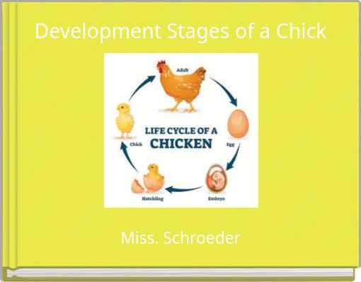 Development Stages of a Chick