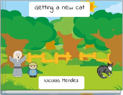 Getting a new cat