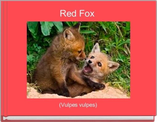 Front cover of 'Red Fox ' 