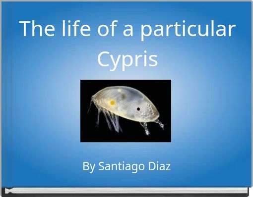 The life of a particular Cypris