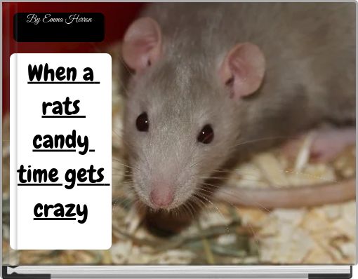 When a rats candy time gets crazy