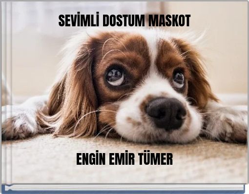 SEVİMLİ DOSTUM MASKOT ENGİN EMİR T&Uuml;MER