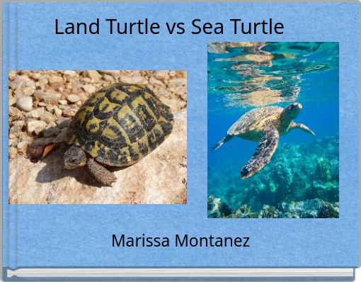 Land Turtle vs Sea Turtle