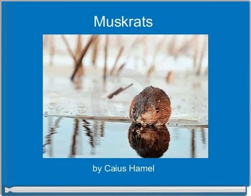 Front cover of 'Muskrats ' 