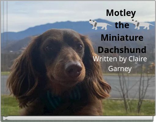 Book Cover for: Motley the Miniature Dachshund