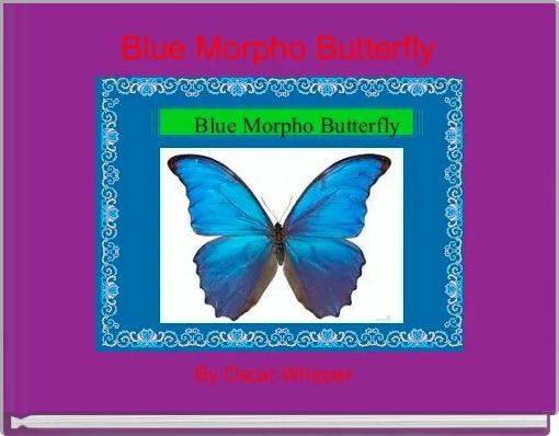 Blue Morpho Butterfly