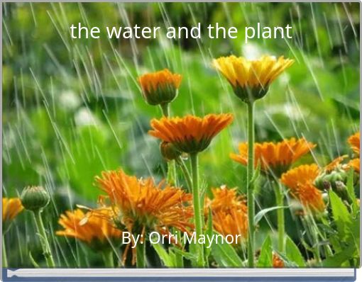 the water and the plant