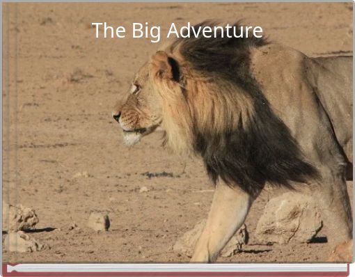 The Big Adventure