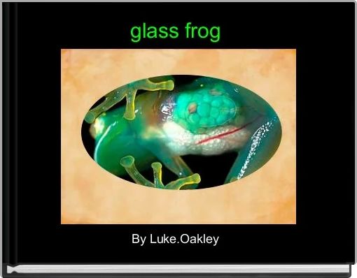 glass frog