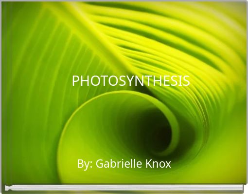 PHOTOSYNTHESIS