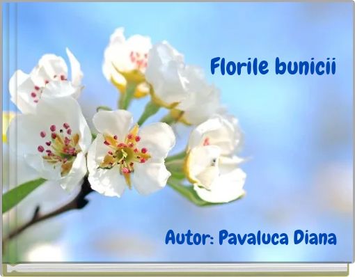 Front cover of 'Florile bunicii' 