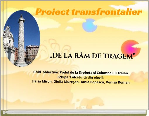 Book Cover for: Proiect transfrontalier