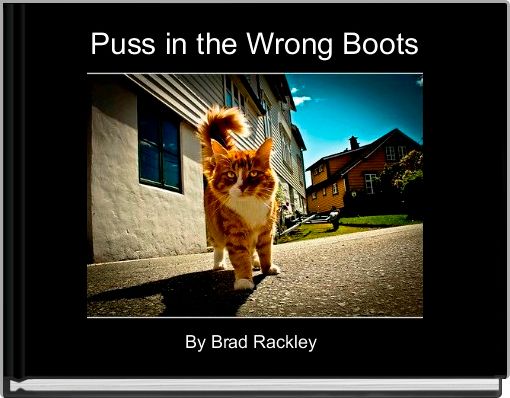 Front cover of 'Puss in the Wrong Boots' 