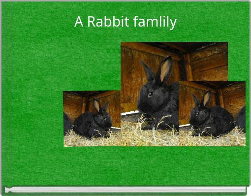 A Rabbit famlily