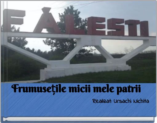 Realizat: Ursachi Nichita