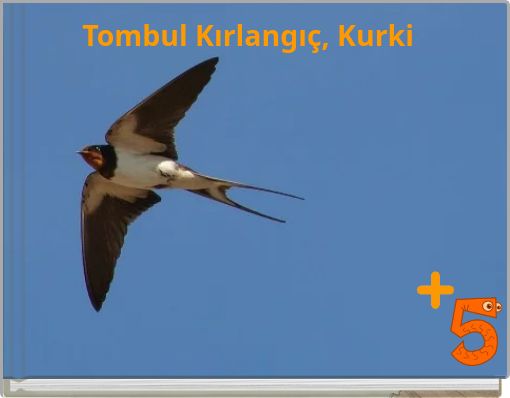 Book Cover for: Tombul Kırlangıç, Kurki