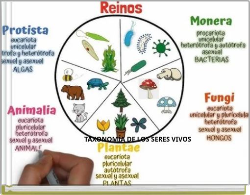 TAXONOM&Iacute;A DE LOS SERES VIVOS
