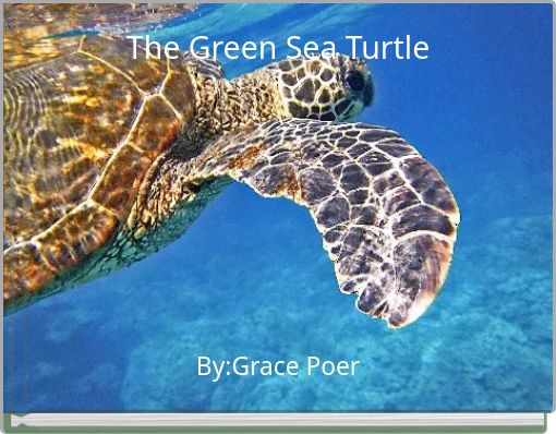 The Green Sea Turtle