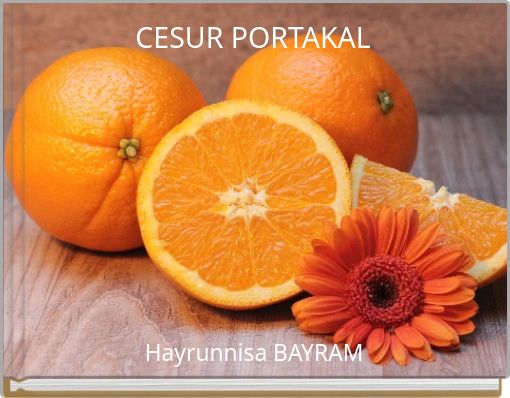 CESUR PORTAKAL