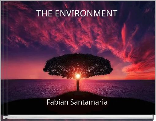 Front cover of 'THE ENVIRONMENT' 