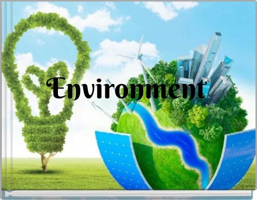 Front cover of 'Environment' 