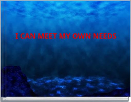 I CAN MEET MY OWN NEEDS
