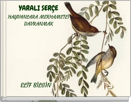 YARALI SERÇE HAYVANLARA MERHAMETLİ DAVRANMAK