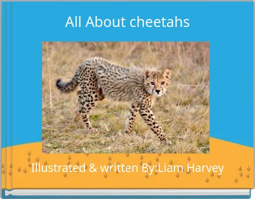 All About cheetahs