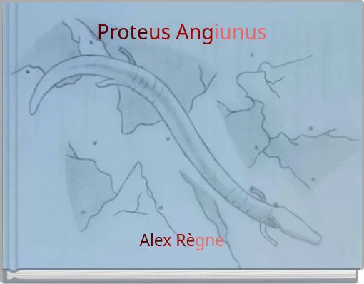Proteus Angiunus
