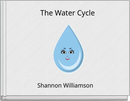 The Water Cycle
