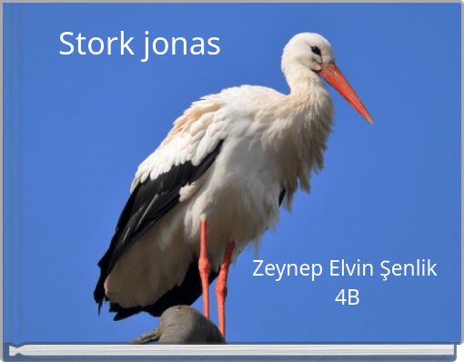 Stork jonas