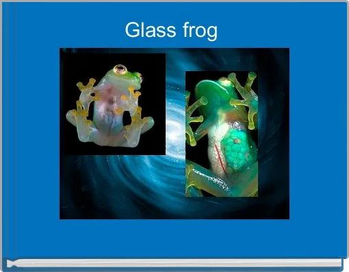 Glass frog 