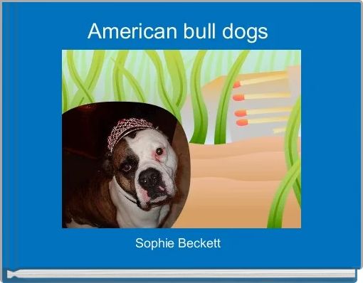 American bull dogs 