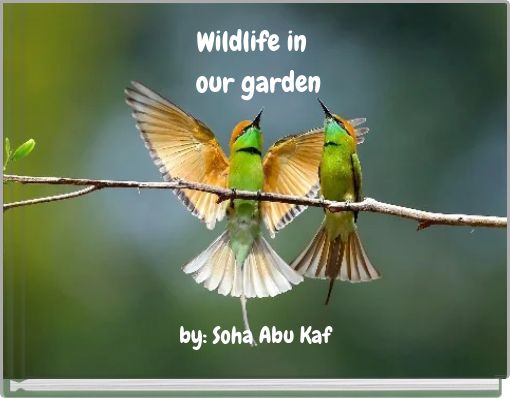 Wildlife in our garden