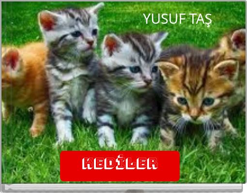 YUSUF TAŞ