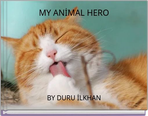 MY ANİMAL HERO