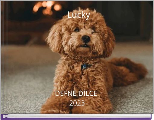 Front cover of 'Lucky' 