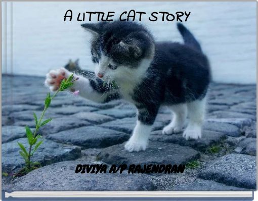Front cover of 'A LITTLE CAT STORY' 