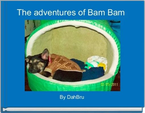 Book Cover for: The adventures of Bam Bam 
