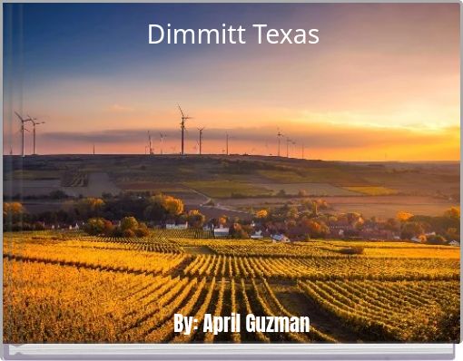 Dimmitt Texas