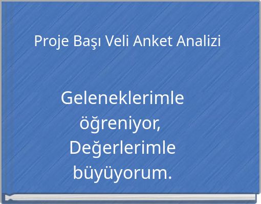 Proje Başı Veli Anket Analizi