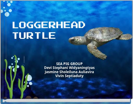LOGGERHEAD TURTLE