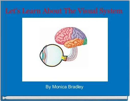 Let's Learn About The Visual System