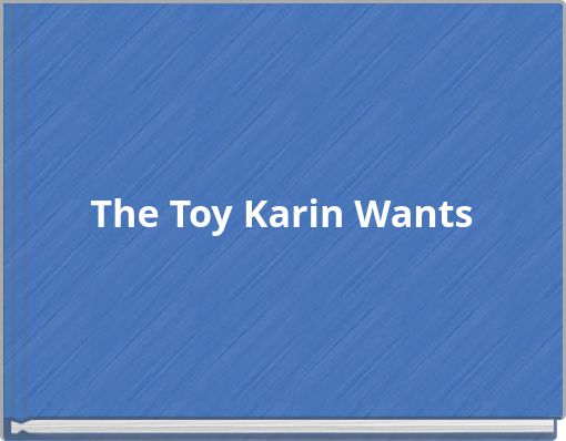 Front cover of 'The Toy Karin Wants' 