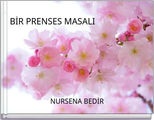 BİR PRENSES MASALI